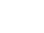 WSE_MASTER LOGO_MONO_NEGATIVE
